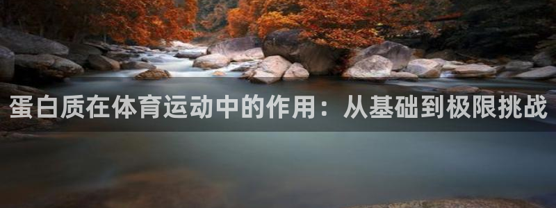 中山熊猫体育：蛋白质在体育运动中的作用：从基础到极限挑战