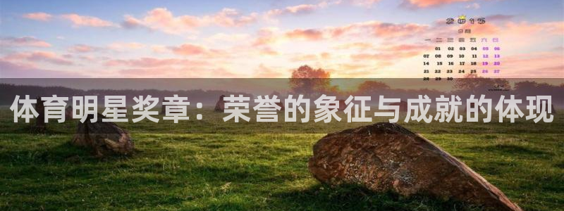 成都金熊猫体育：体育明星奖章：荣誉的象征与成就的体现