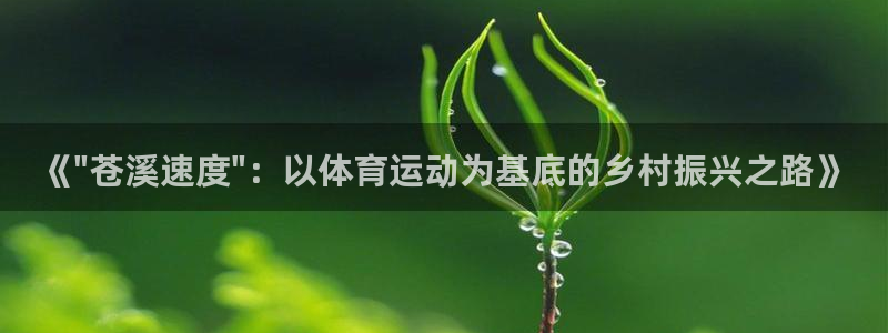 熊猫体育平台：《\