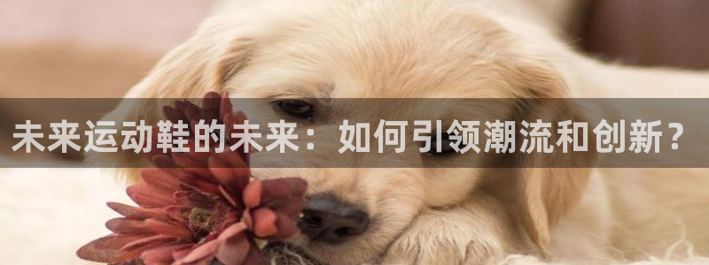 下载熊猫体育：未来运动鞋的未来：如何引领潮流和创新？