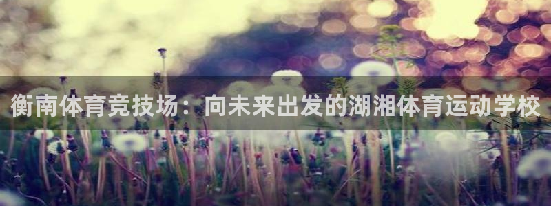 熊猫体育直播nba：衡南体育竞技场：向未来出发的湖湘体育运动学校