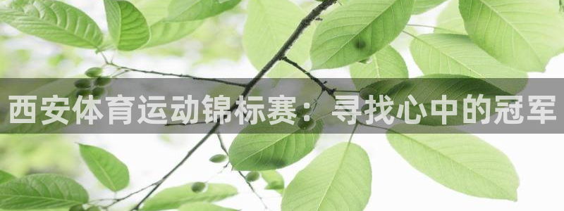中山熊猫体育：西安体育运动锦标赛：寻找心中的冠军